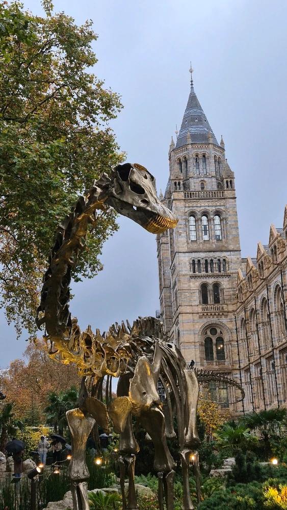 Imagem enviada por Henrique