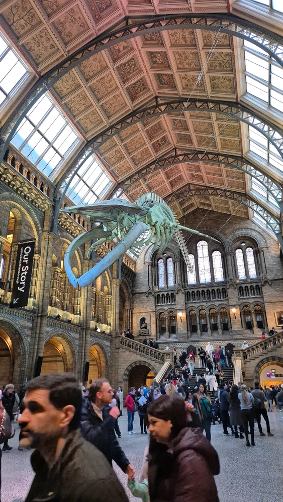 Imagem enviada por Henrique