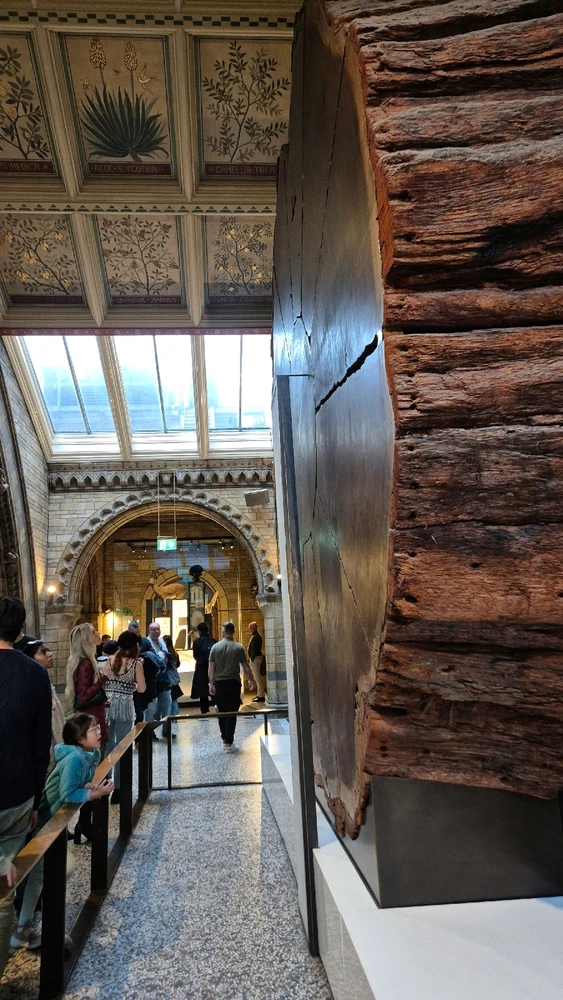 Imagem enviada por Henrique