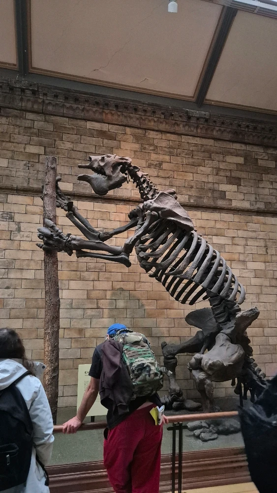 Imagem enviada por Henrique