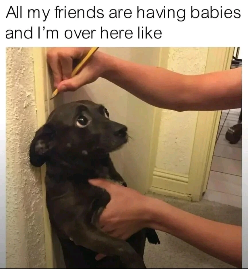 GIF uploaded by Waynez