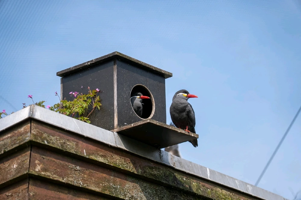 GIF diunggah dening Markus