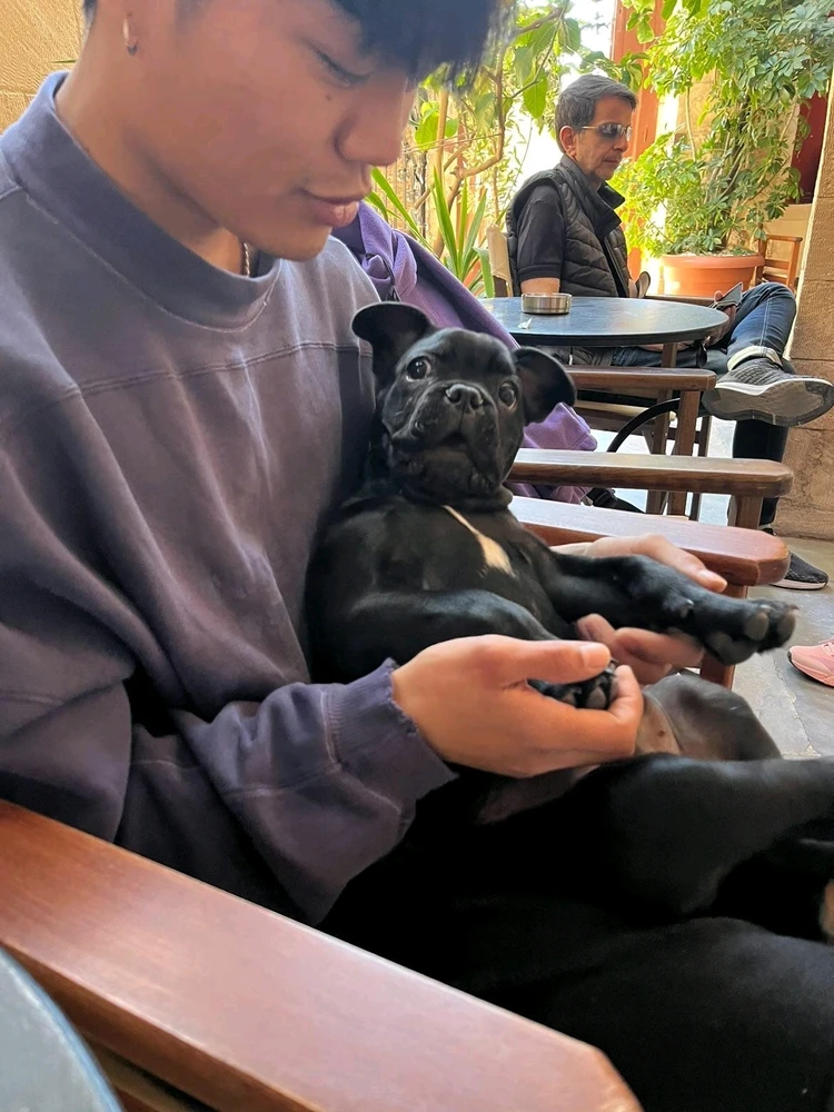 GIF uploaded by Alex