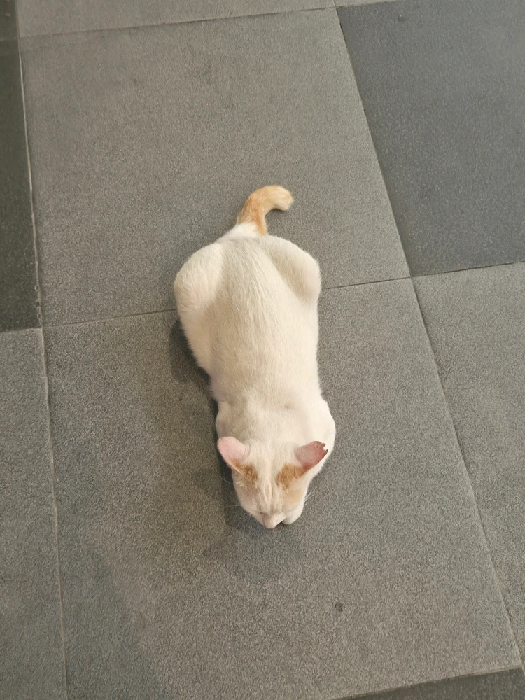 GIF uploaded by Eli