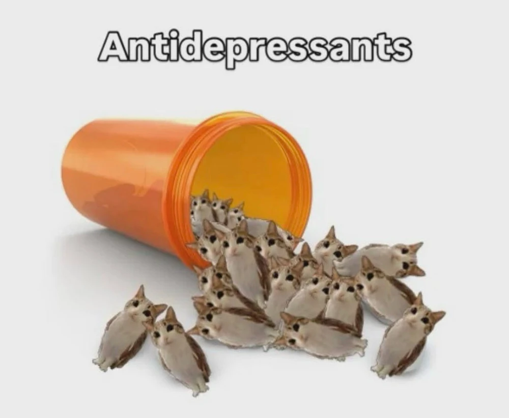 GIF uploaded by bellissima