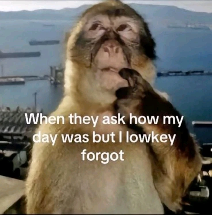 GIF uploaded by Meghna