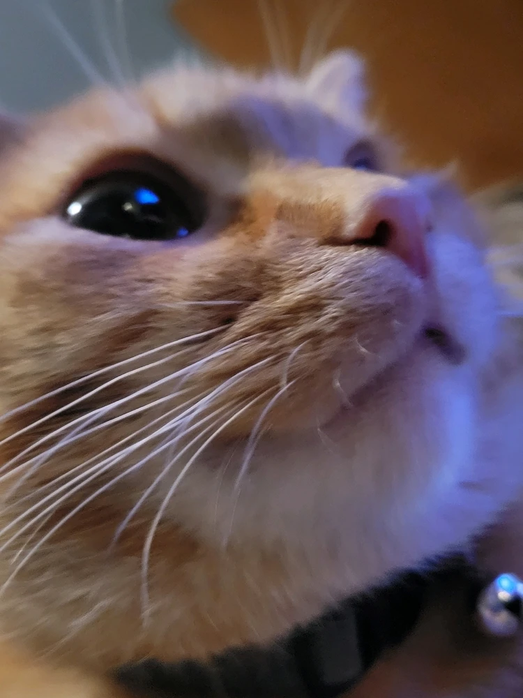 GIF uploaded by Alex