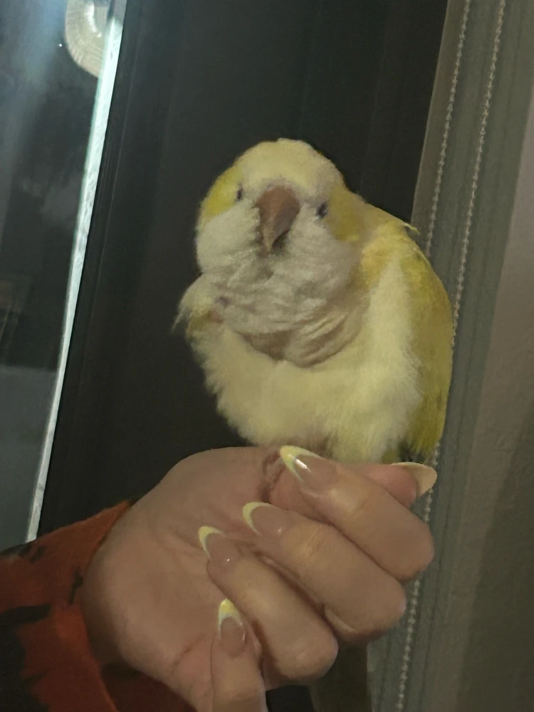 GIF diunggah dening Alexa