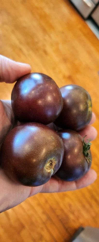 Image uploaded by Arian