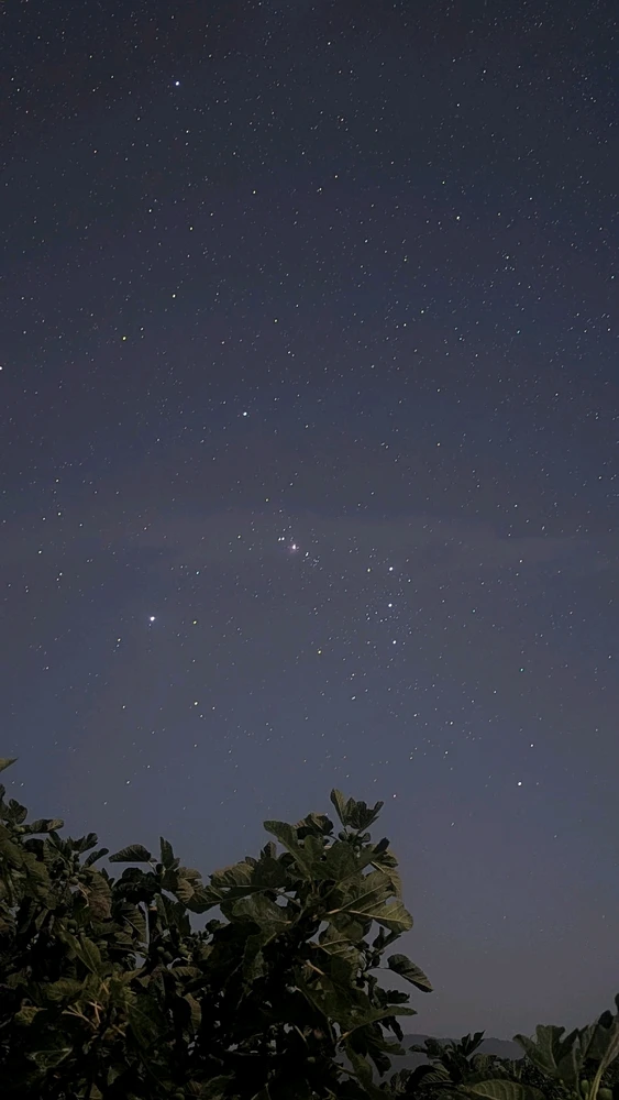 GIF uploaded by Hugo