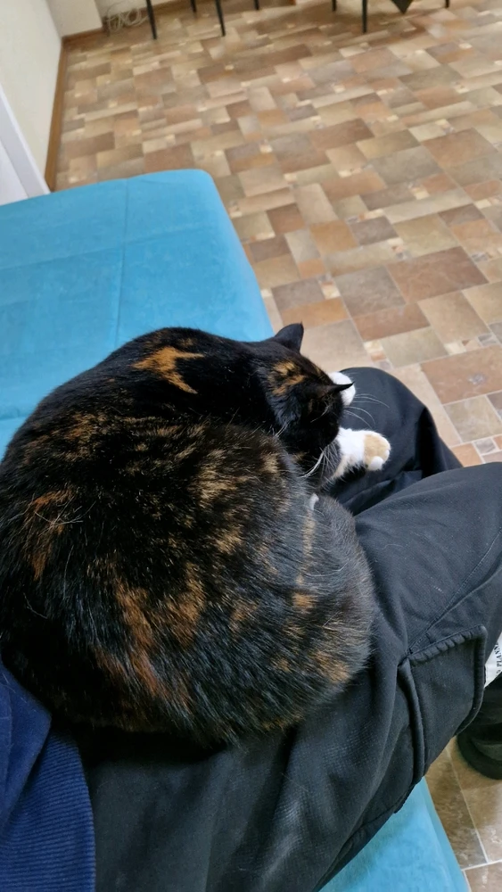 Гіфку завантажив Вова