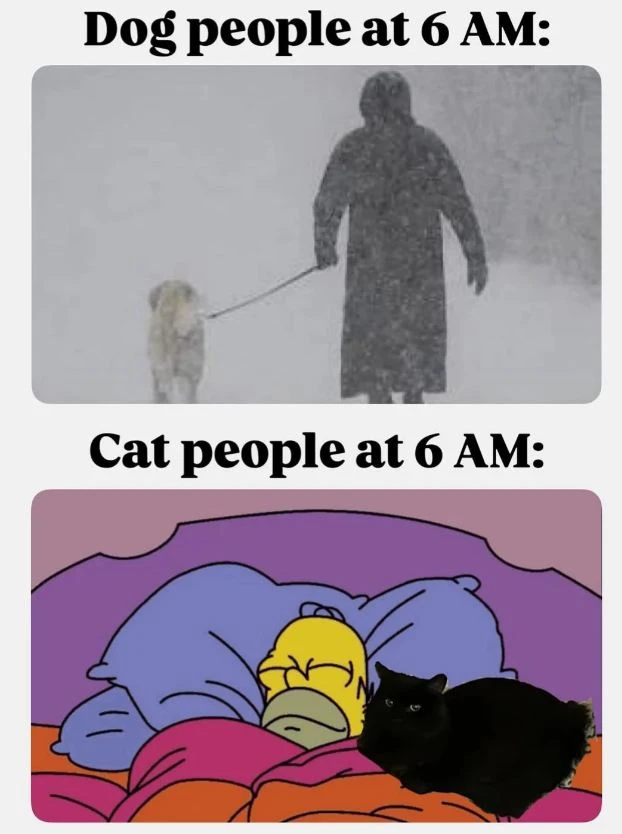 Image ajoutée par Neko🐾