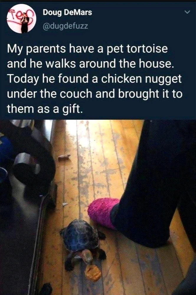 GIF uploaded by Kaissy