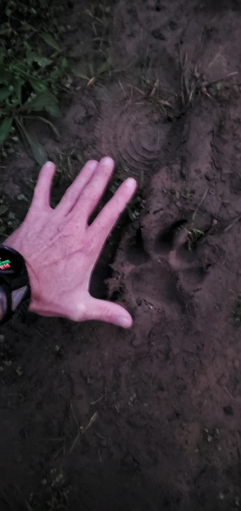 Image uploaded by Conlan