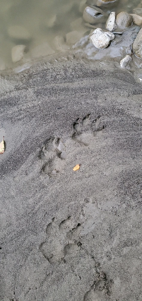 Image uploaded by Conlan