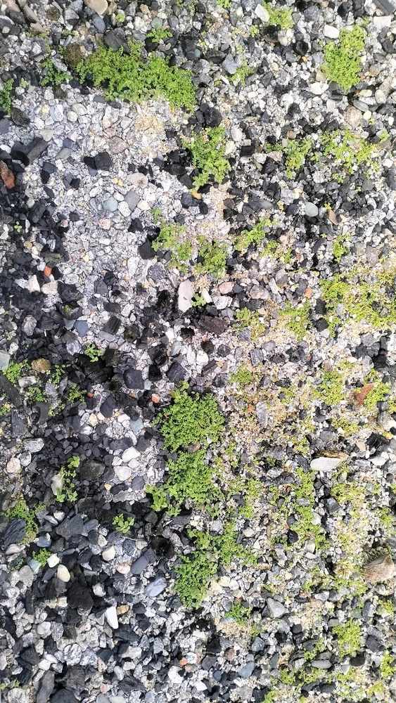 GIF uploaded by Sage