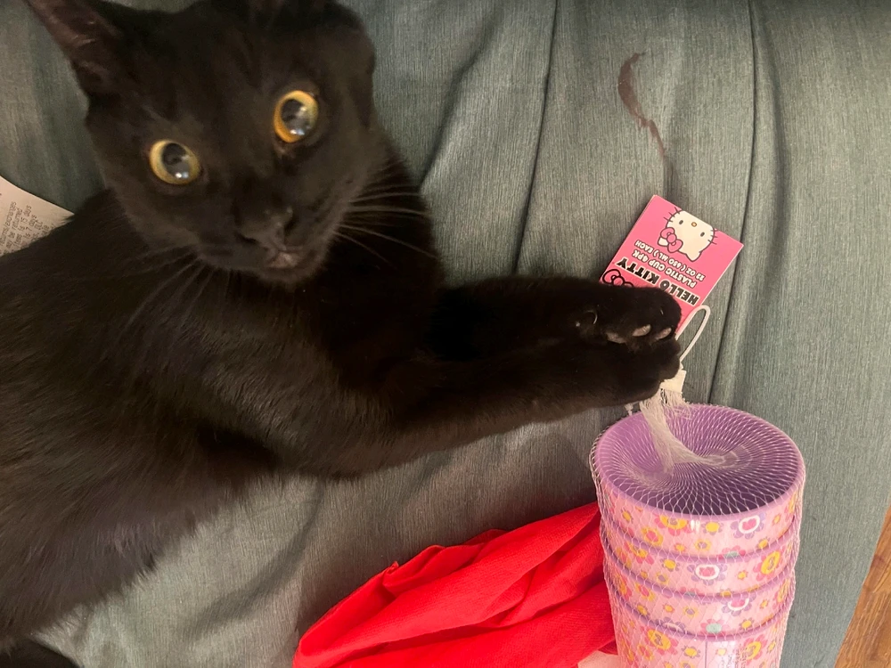 Image uploaded by Erica