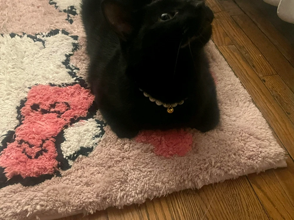 Image uploaded by Erica