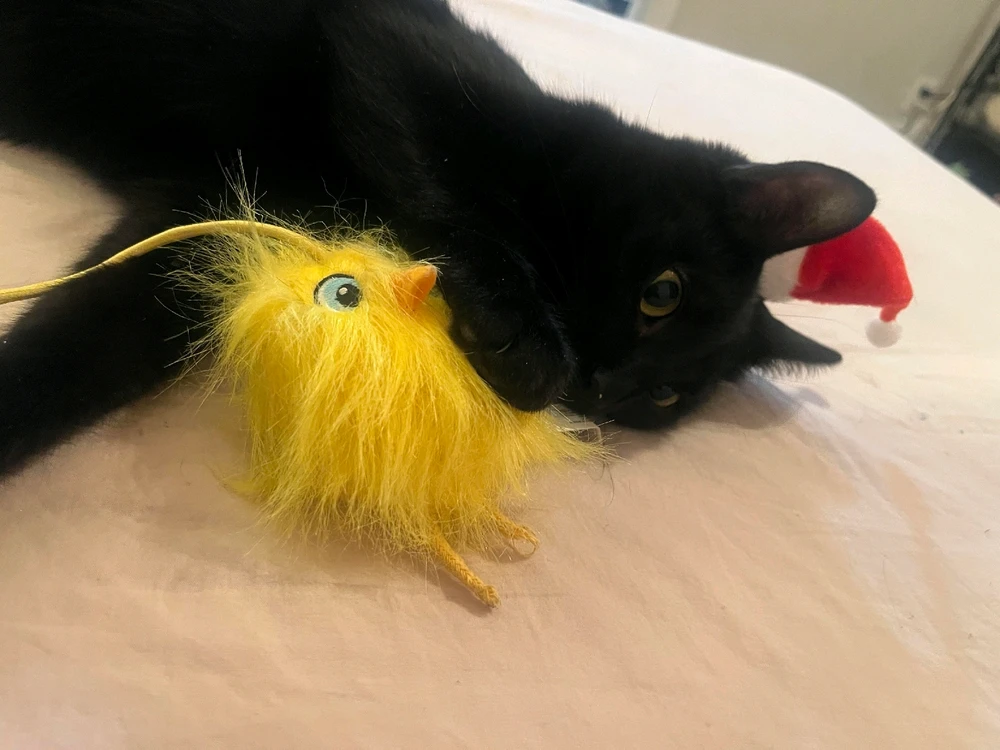 Image uploaded by Erica