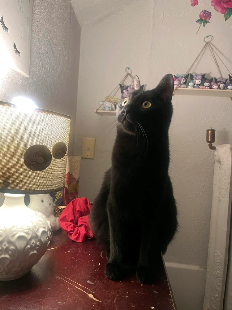 Image uploaded by Erica