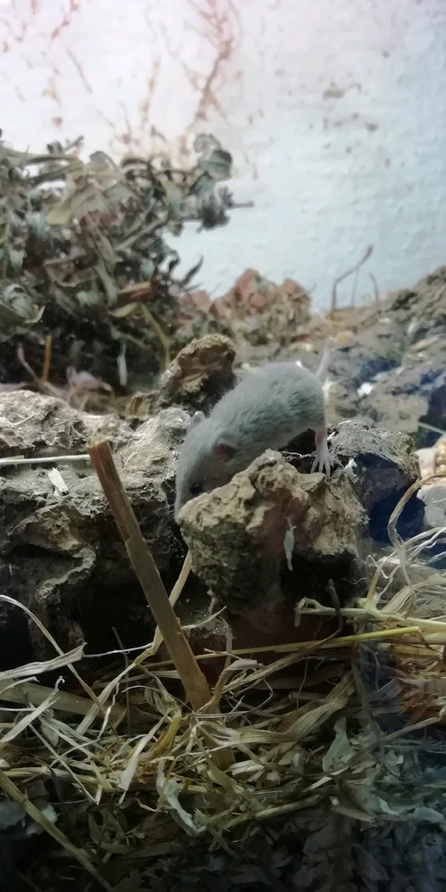 Bild hochgeladen von Marcel