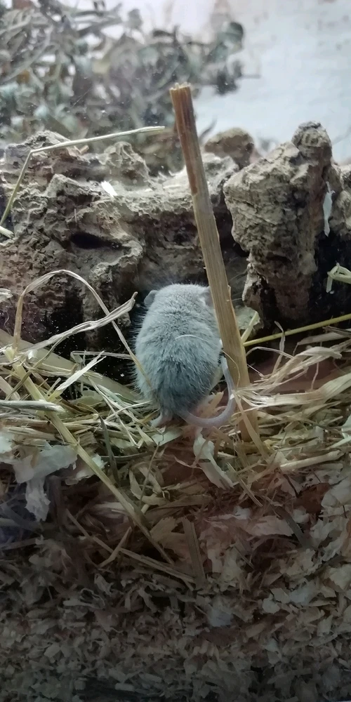 Bild hochgeladen von Marcel