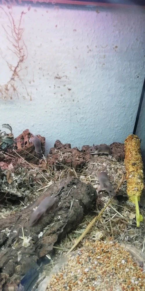 Bild hochgeladen von Marcel