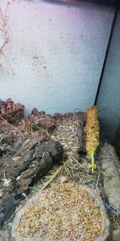 Bild hochgeladen von Marcel