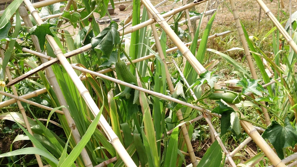 Image uploaded by CheffieGR