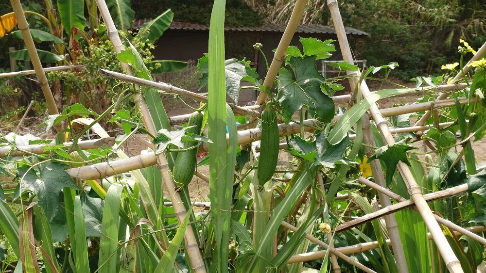 Image uploaded by CheffieGR