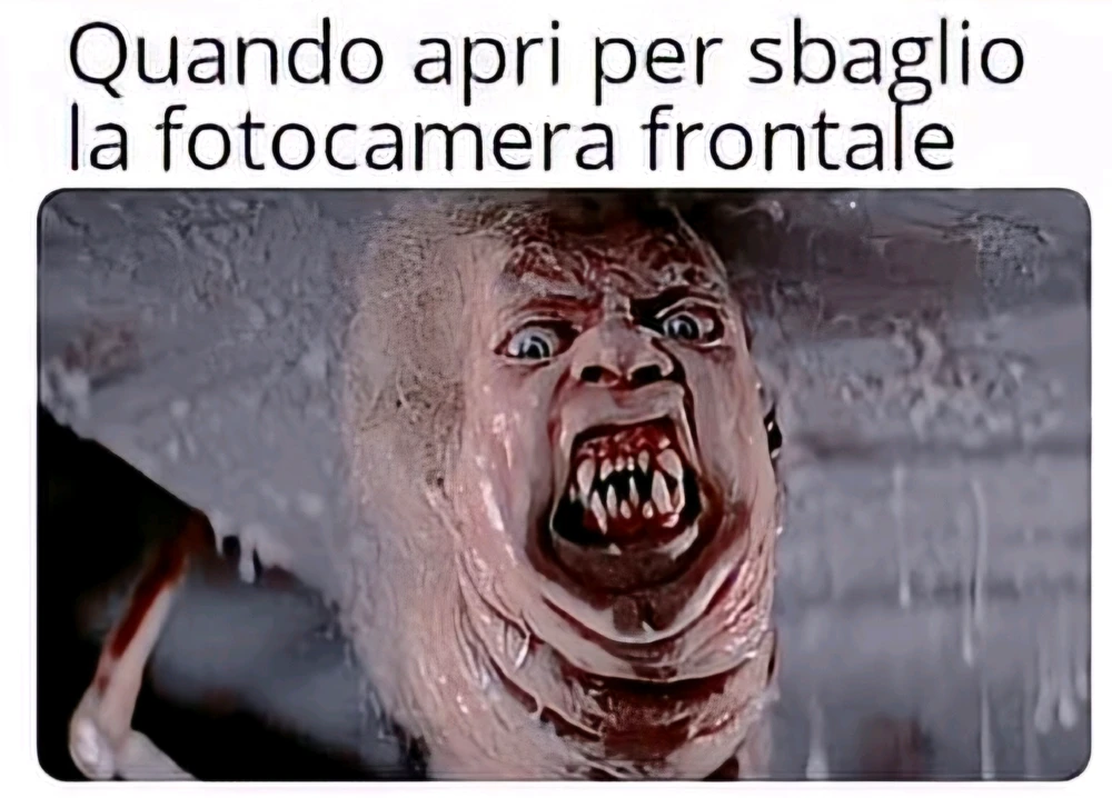 GIF caricata da Loris (Cookie)