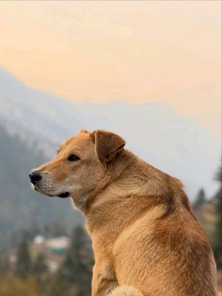 GIF uploaded by Kushal