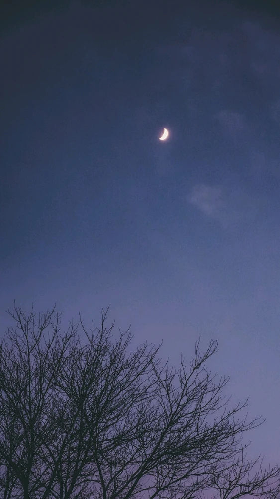 GIF uploaded by Kabir