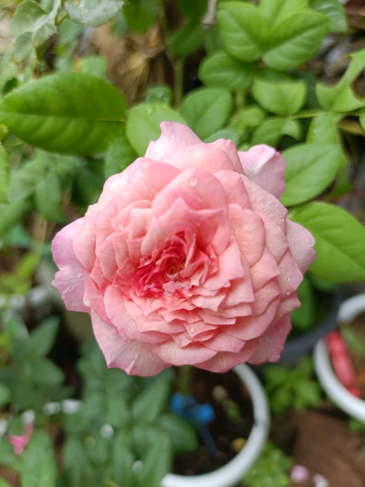 GIF uploaded by Tyra