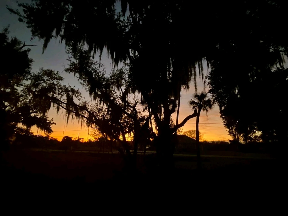 Image uploaded by 💜J💜o💜e💜y💜