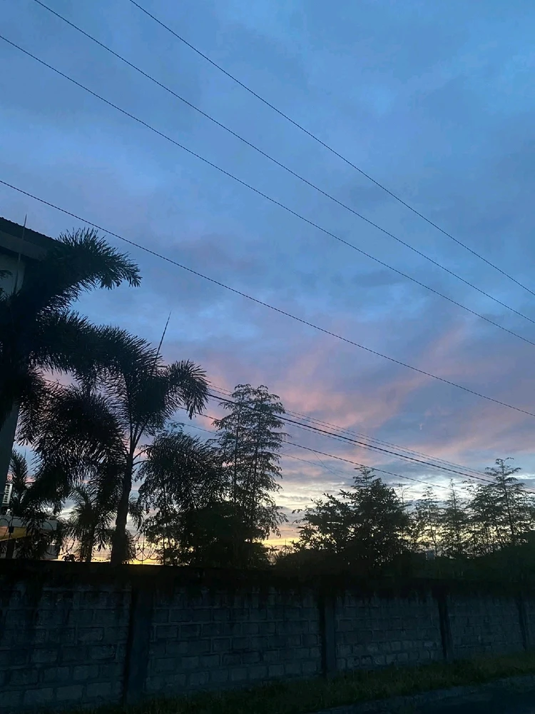 Image uploaded by 💜J💜o💜e💜y💜