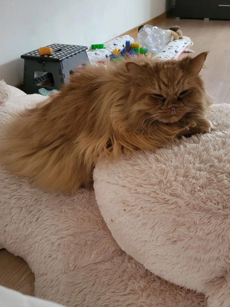 Zdjęcie dodane przez Krystian