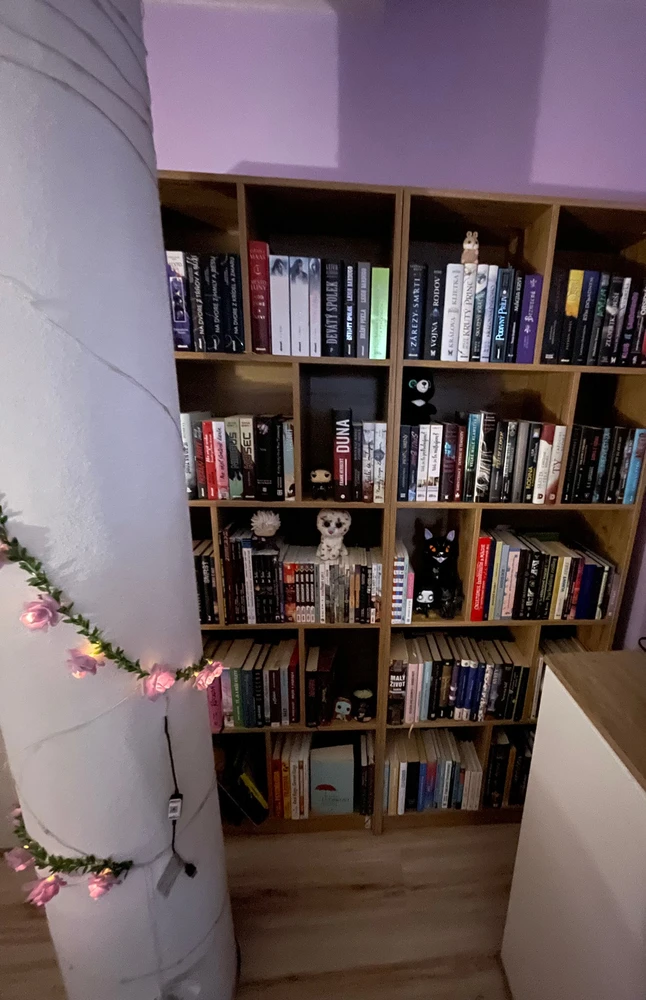 Nová knižnica 🥹