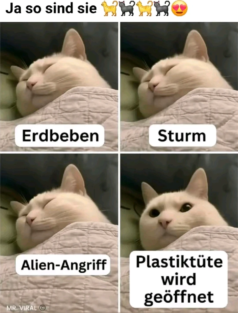 GIF hochgeladen von Sven