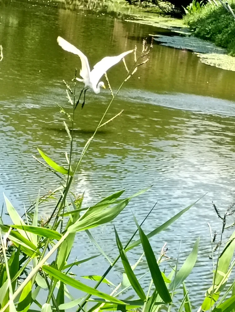 Image uploaded by Vickye