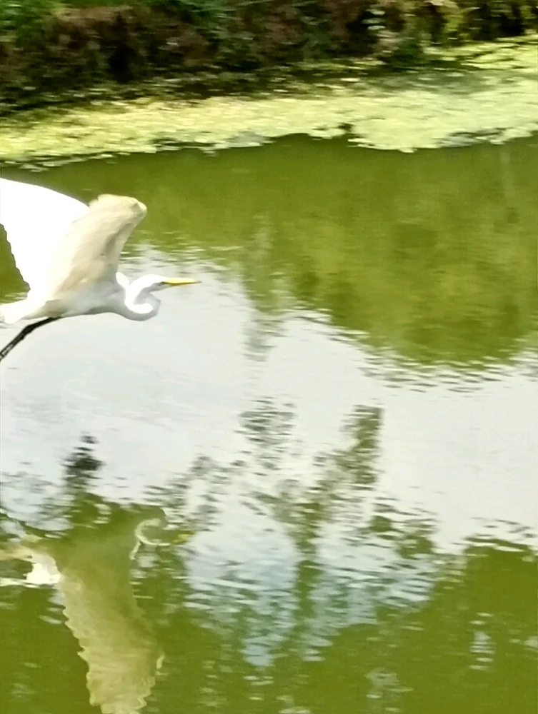 Image uploaded by Vickye