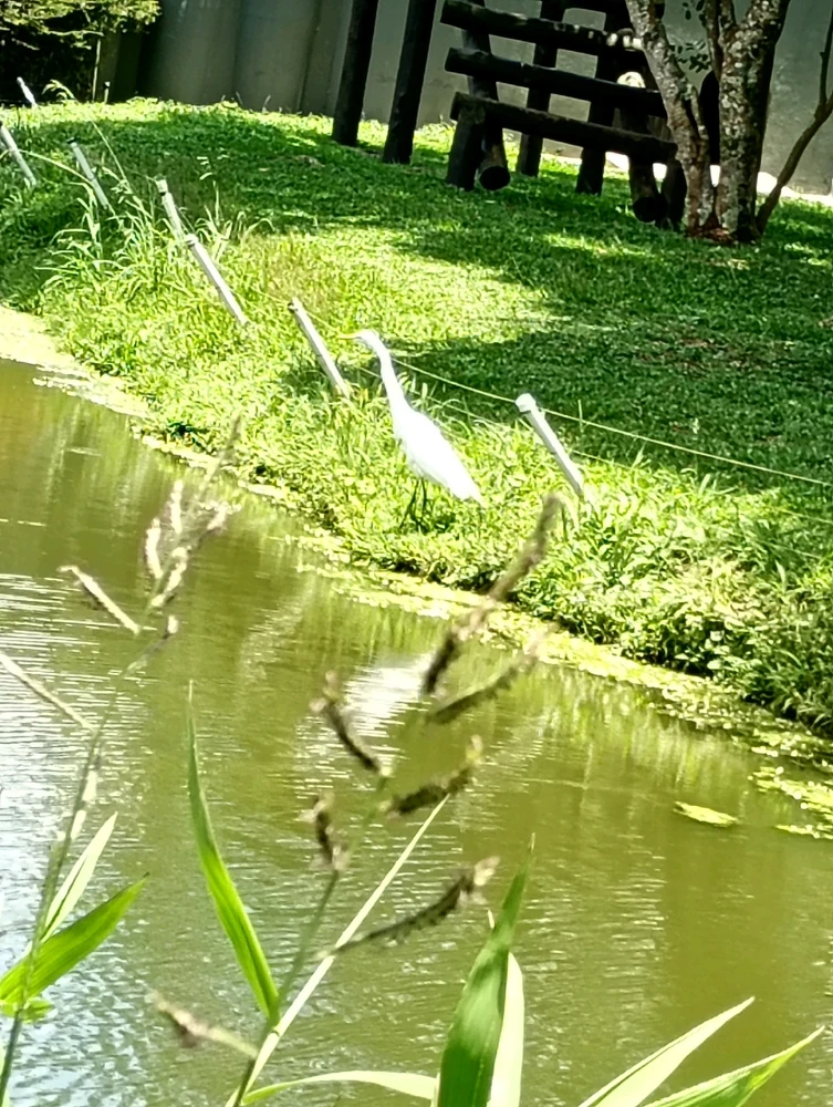 Image uploaded by Vickye