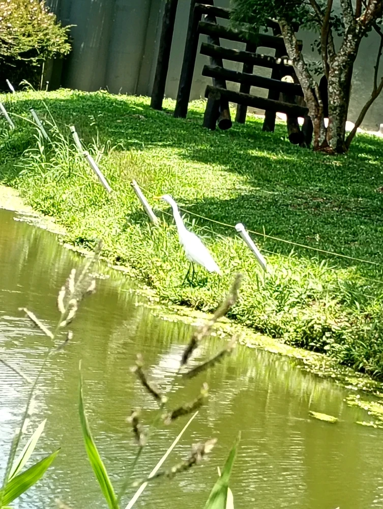 Image uploaded by Vickye