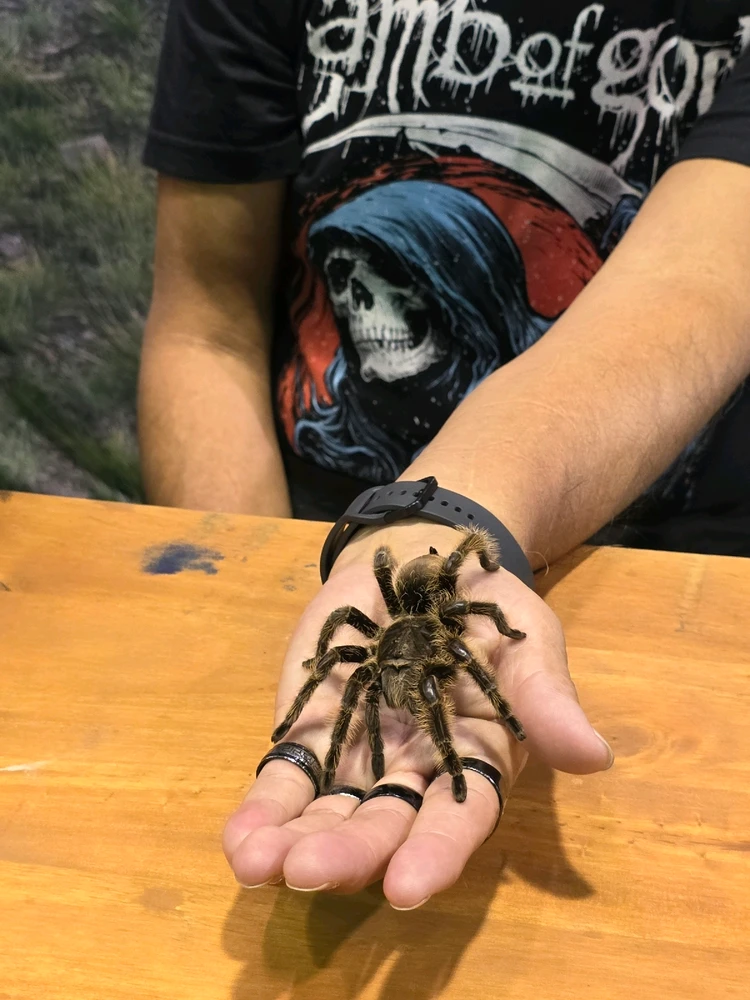 GIF uploaded by RaulR