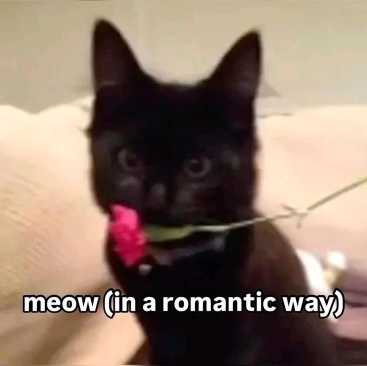 Image uploaded by Aida