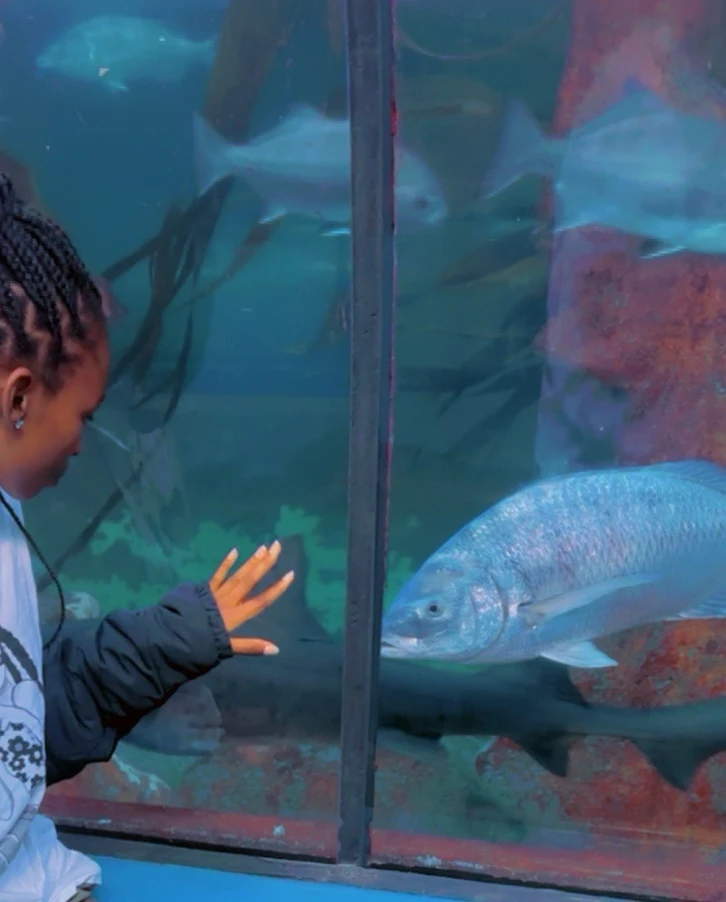 Bild hochgeladen von Treq