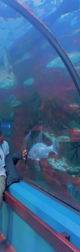 Bild hochgeladen von Treq