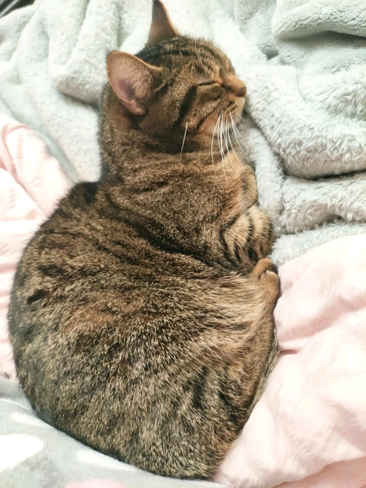 GIF uploaded by Nathalie