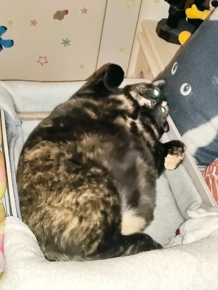 GIF uploaded by Nathalie