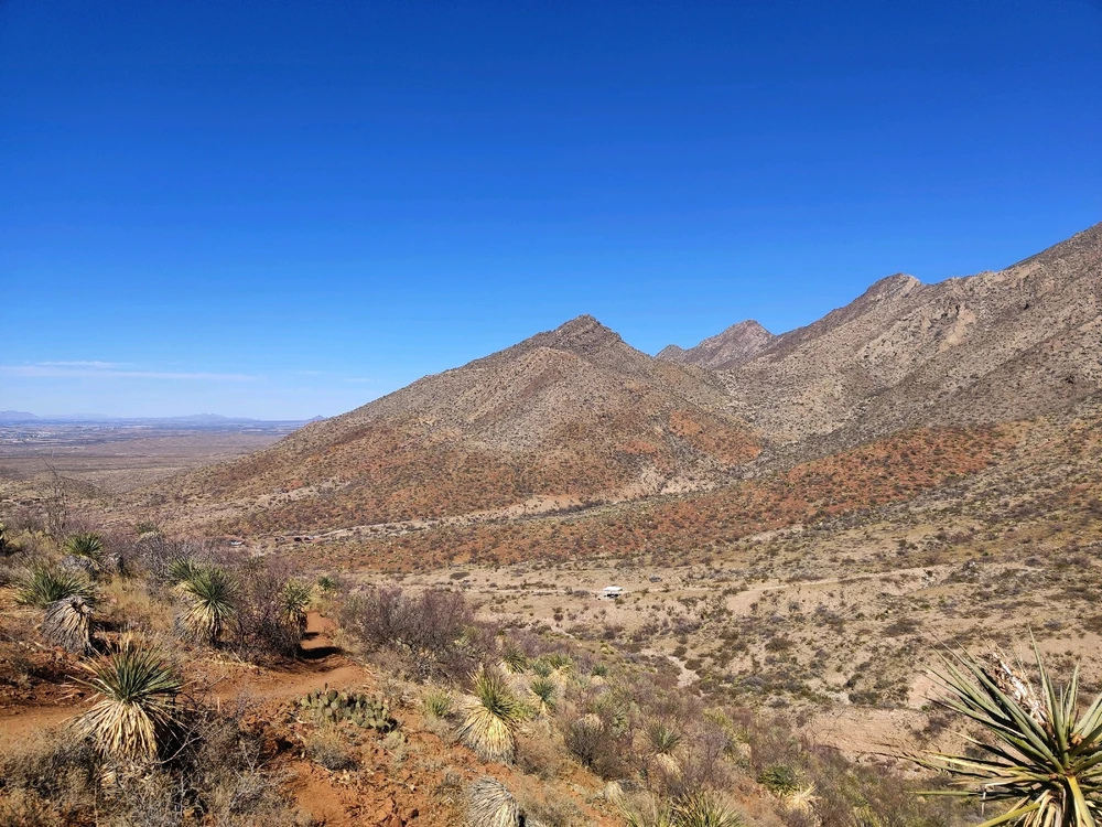 Image uploaded by berry